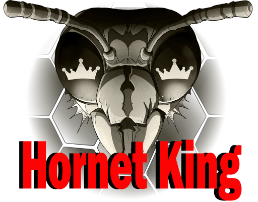 Wasp Nest removals in Southeastern PA and surrounding areas